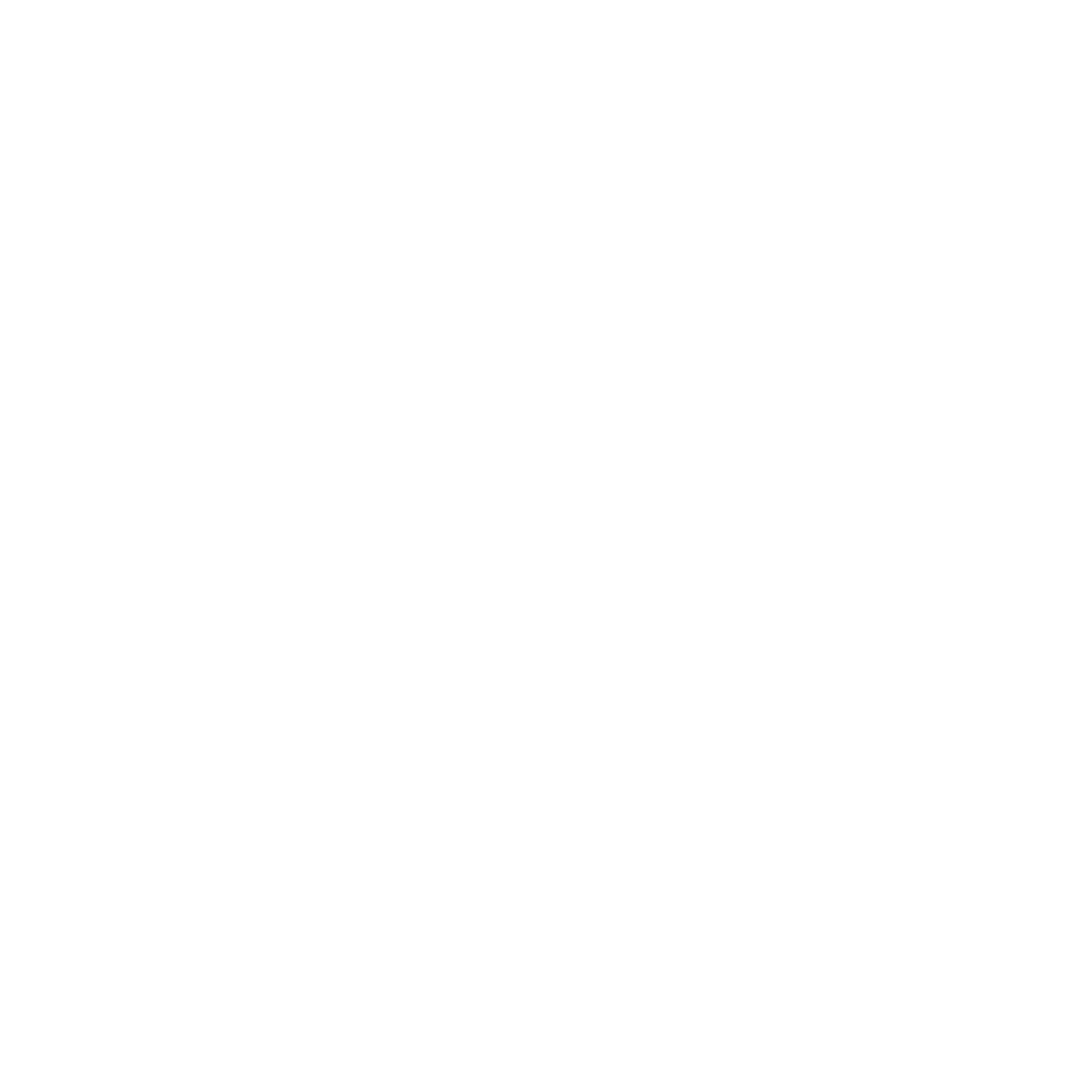 logo_blanco_sin_slogan (1)